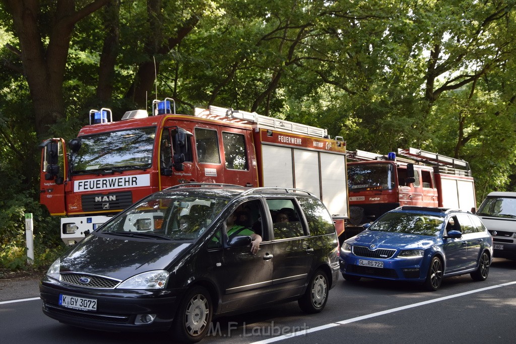 Waldbrand Koeln Hoehenhaus Hoehenfelder Mauspfad P005.JPG - Miklos Laubert